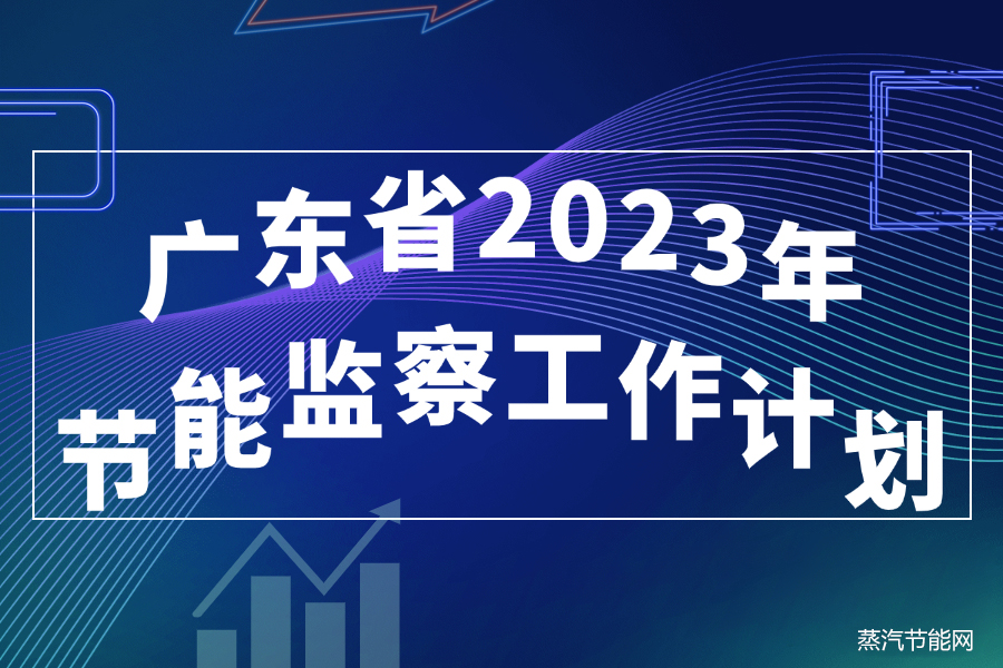 广东省2023年节能监察工作计划
